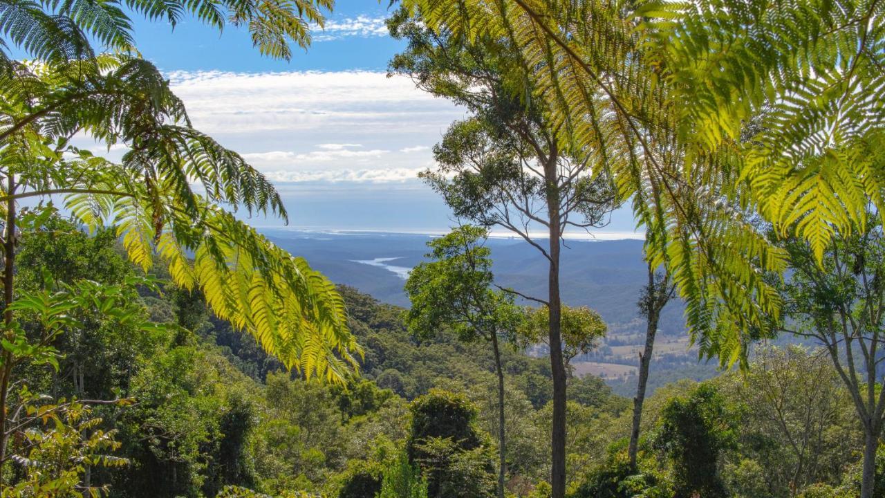 Binna Burra Rainforest Campsite Beechmont Exterior photo