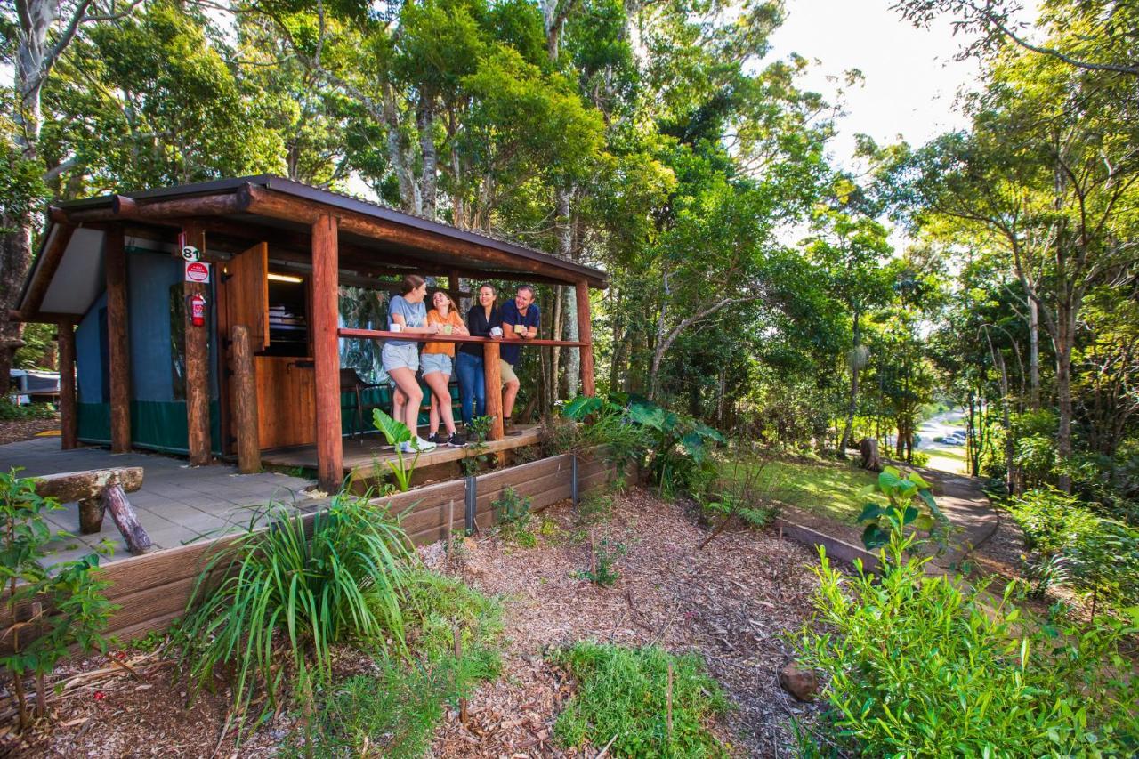 Binna Burra Rainforest Campsite Beechmont Exterior photo